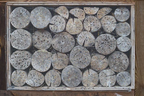 Insect hotel with wooden border