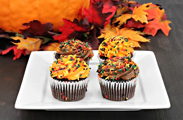 Autumn decorated chocolate cupcakes in a fall setting.