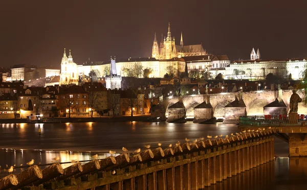 Vltava river, Charles Bridge (Stone Bridge, Prague Bridge)  and St. Vitus Cathedral at night. Prague. Czech Republic
