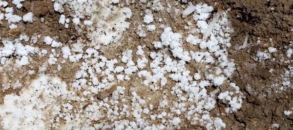 Dead sea salt at Jordan, Middle East
