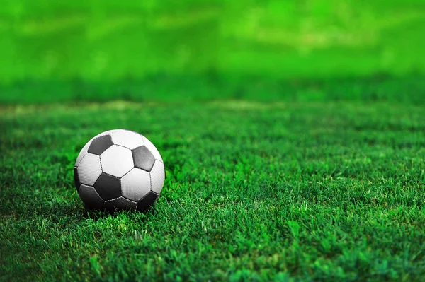Soccer ball on green lawn