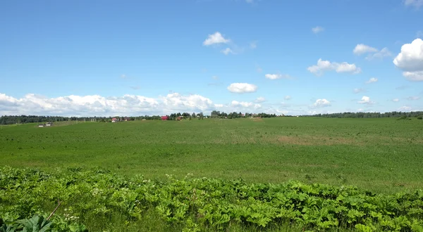 Rural landscape with green field and a village far away