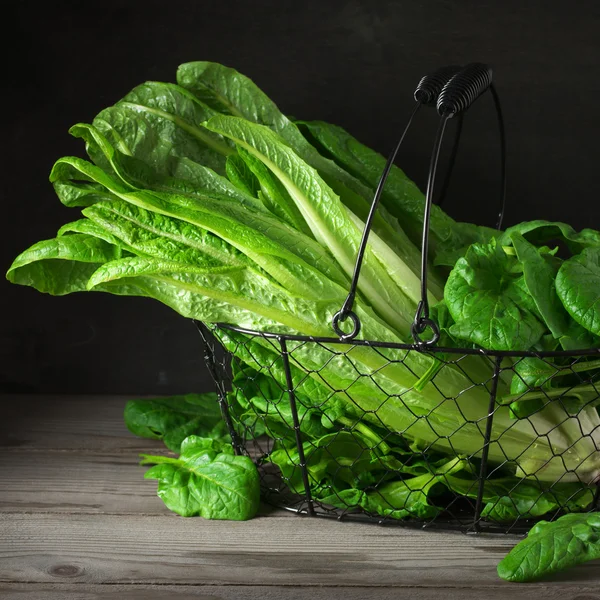 Lettuce and spinach in basket