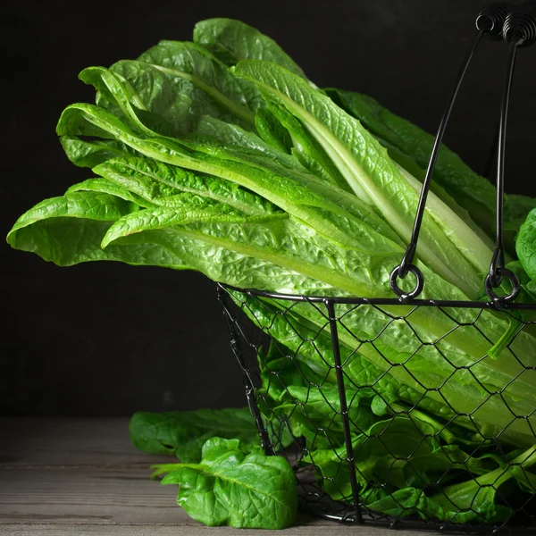 Lettuce and spinach in basket