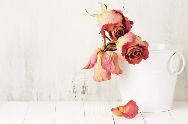 Dried roses in bucket