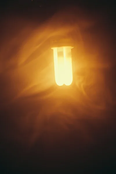 Fluorescent lamp, warm light in fog