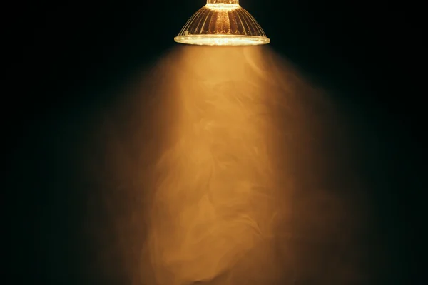 Halogen lamp with reflector, warm light in fog