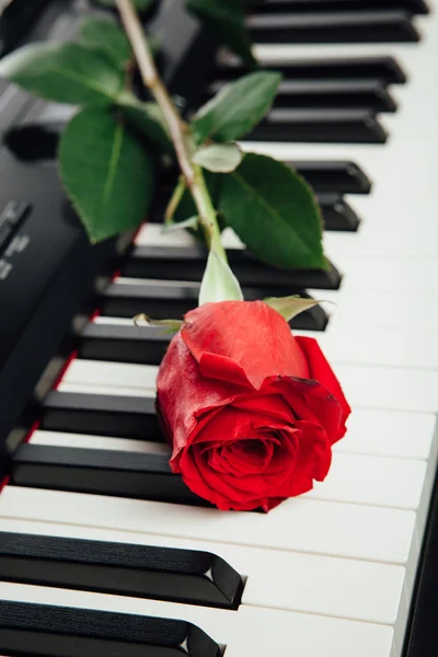 Piano keys and red rose