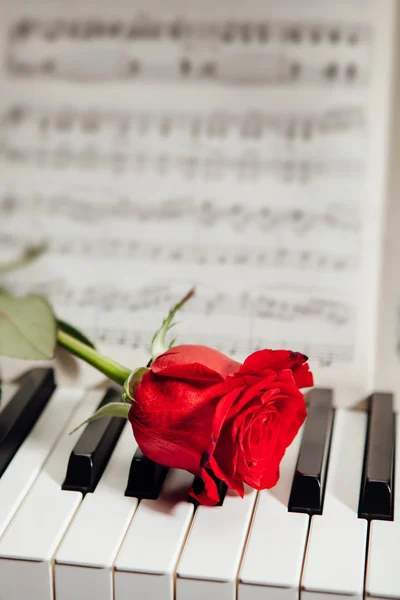 Red rose on piano keys and music book