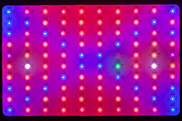 LED lamps grow light background, closeup view