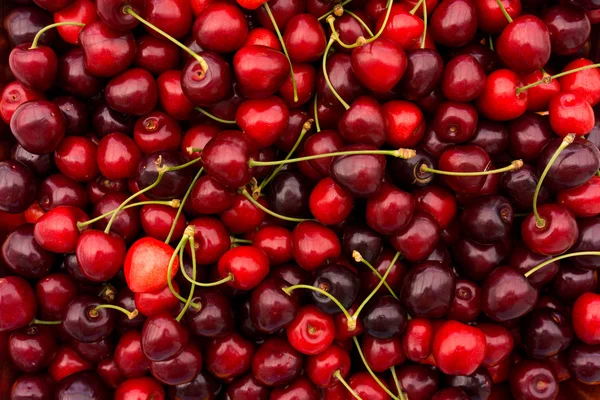 Red cherry background.  Red ripe delicious cherries