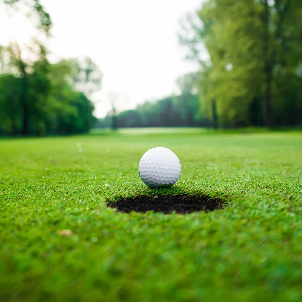 Golf ball on green meadow.