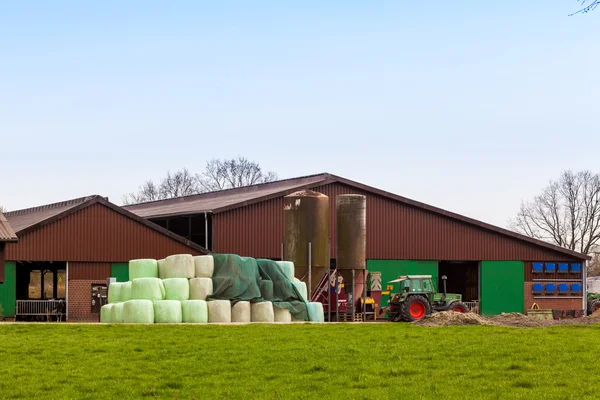 Farm buildings of Dairy Farm