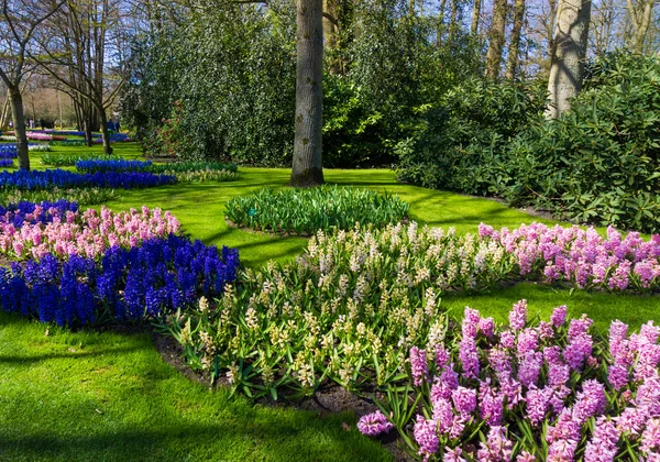 Beautiful spring garden