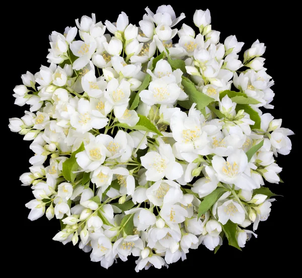 Circle  from white  jasmine flowers