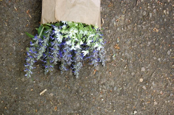 Bunch of blue sage flowers in paper bag