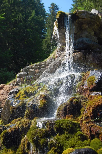 Clean waterfall in the forest