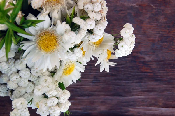 Spring bouquet of white daisies