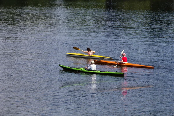 Recreational athletes with paddle boat on the river Havel in Berlin