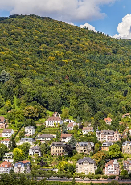 View from above on villas in the German city of Heidelberg