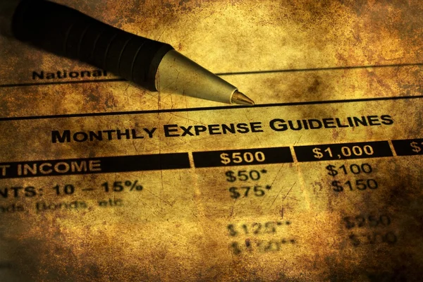 Monthly budget plan grunge concept