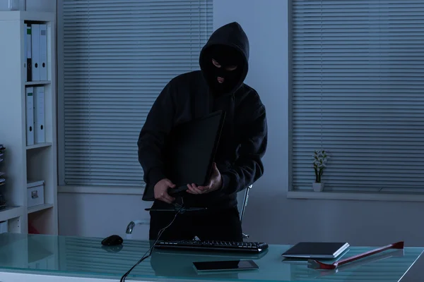 Thief Stealing Computer