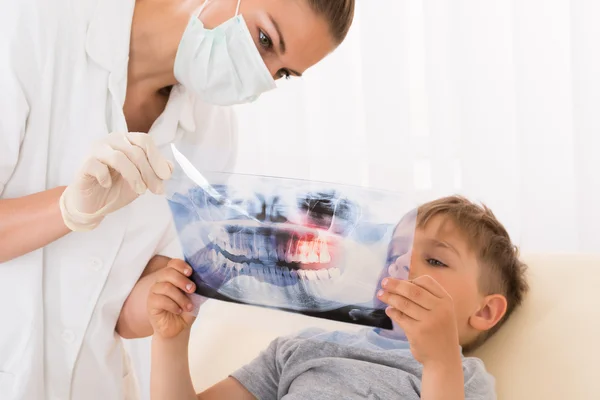 Dentist Showing Teeth Xray To Child Patient