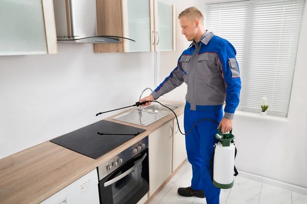 Worker Spraying Pesticide On Induction Hob