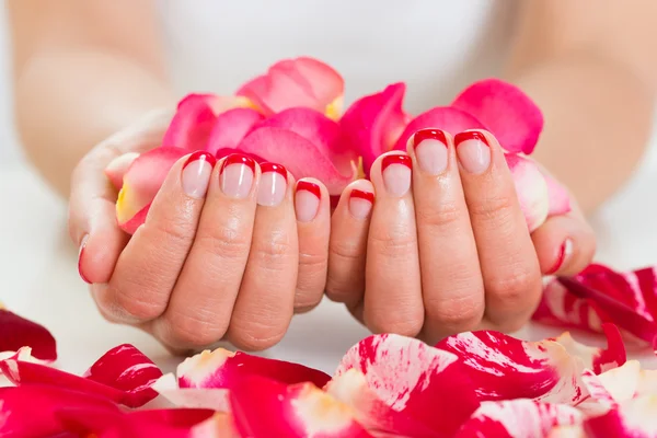 Female Hands With Nail Varnish Holding Rose Petals