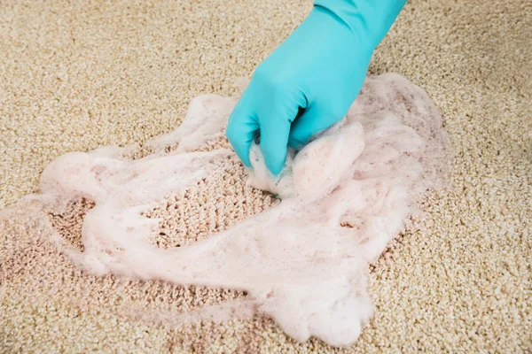 Hand Cleaning Rug With Foam