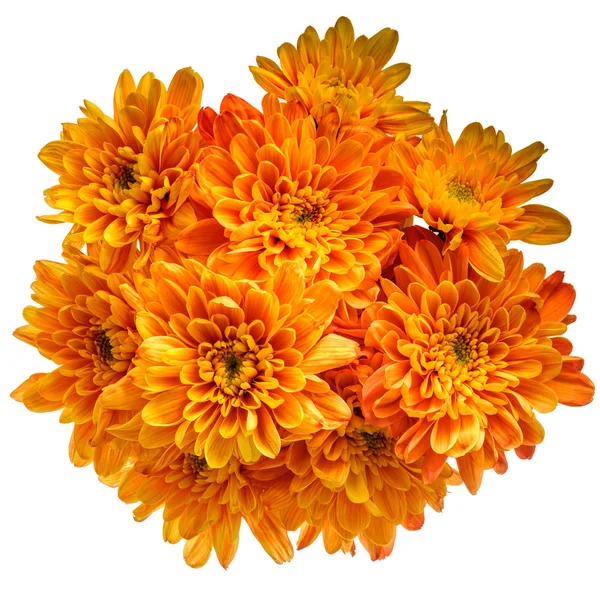 Bouquet of chrysanthemums