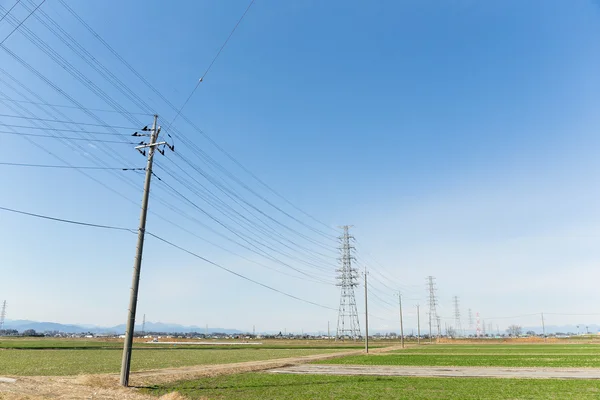 High voltage towers and transmission lines