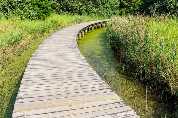 Wooden walkway over the pond