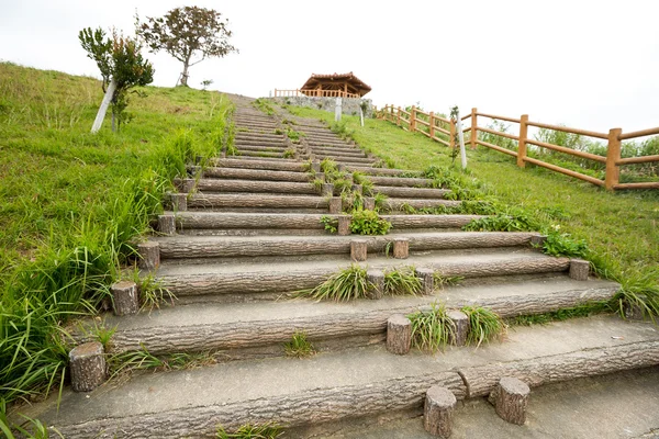 Empty Steps in countryside