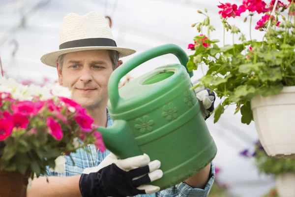 Man watering flower plants