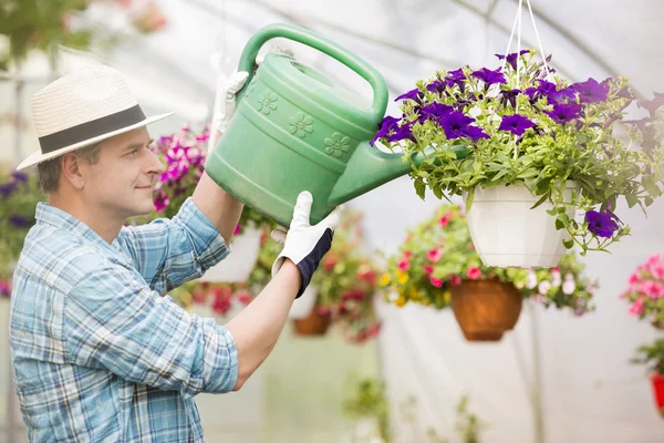 Man watering flower plants