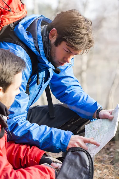 Backpackers reading map in forest