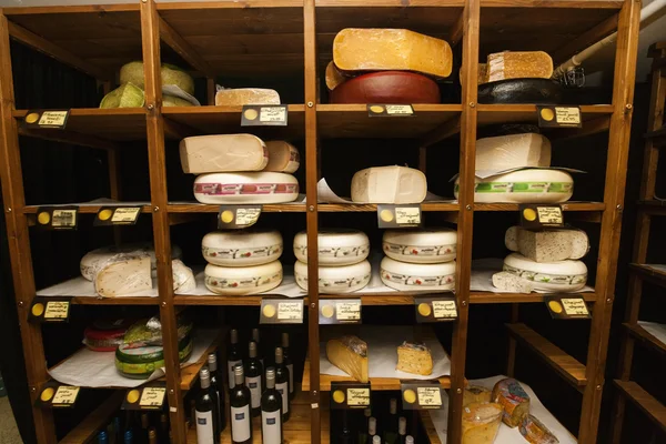 Cheese arranged on shelves