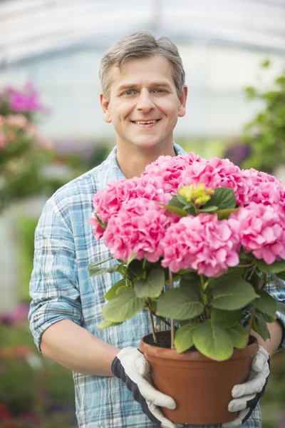 Gardener holding flower pot