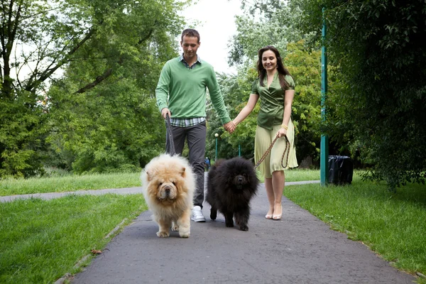Couple walking with pet dogs