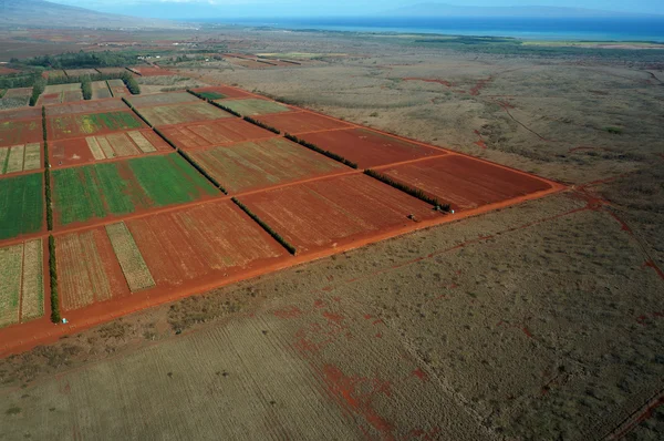 Aerial of Farm fields of different stages of age running to the