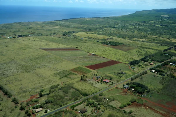 Aerial of Farm fields of different stages of age running to the