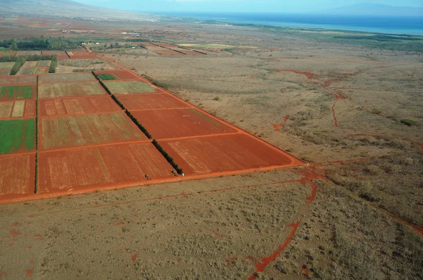 Aerial of Farm fields of different stages of age running to the