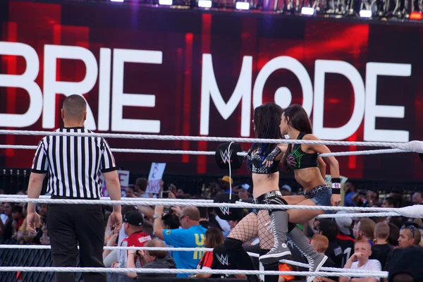 Tag team partners Diva\'s AJ Lee and Paige sit on ropes in ring