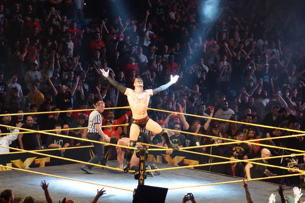 NXT male wrestler Finn Balor opens arms as he stands on ropes wh