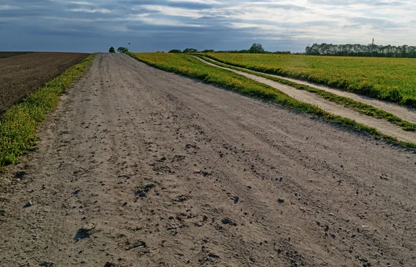 Ground road through agricultural fields.