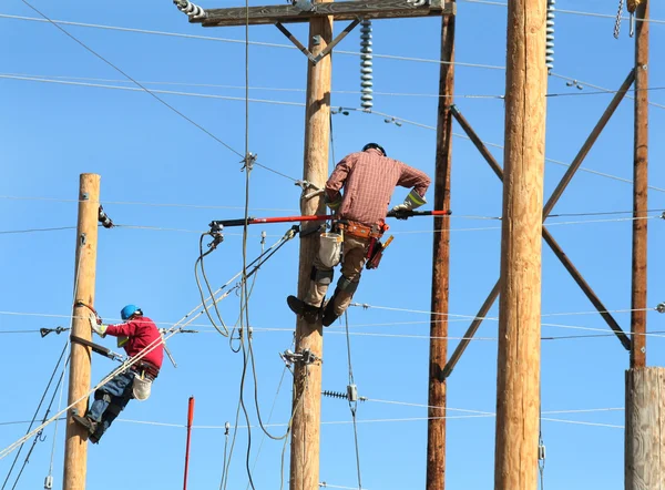 Two electrical linemen working