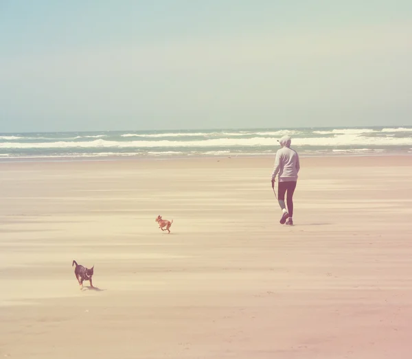 Woman on beach with chihuahuas