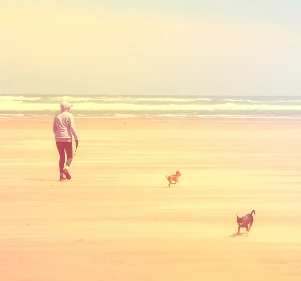 Woman on beach with chihuahuas