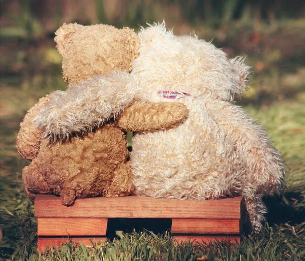 Two teddy bears on bench